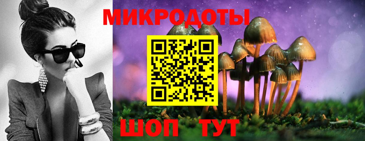 Галлюциногенные грибы мухоморы Заречный